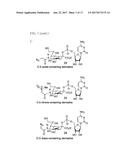 SITE-SPECIFIC ANTIBODY-DRUG GLYCOCONJUGATES AND METHODS diagram and image