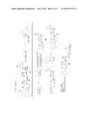 SITE-SPECIFIC ANTIBODY-DRUG GLYCOCONJUGATES AND METHODS diagram and image