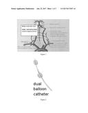 NOVEL NON-INVASIVE METHOD FOR DIRECT DELIVERY OF THERAPEUTICS TO THE     SPINAL CORD IN THE TREATMENT OF SPINAL CORD PATHOLOGY diagram and image