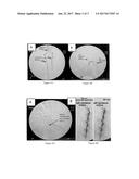 NOVEL NON-INVASIVE METHOD FOR DIRECT DELIVERY OF THERAPEUTICS TO THE     SPINAL CORD IN THE TREATMENT OF SPINAL CORD PATHOLOGY diagram and image