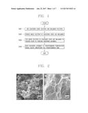 NITROGEN-DOPED GRAPHENE ASSEMBLY AND METHOD OF PREPARING THE SAME diagram and image