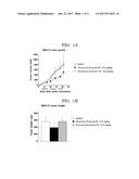 NOVEL COMPOUND, PRODUCTION METHOD THEREFOR, AND USE OF SAID COMPOUND diagram and image