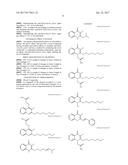 NOVEL COMPOUND, PRODUCTION METHOD THEREFOR, AND USE OF SAID COMPOUND diagram and image