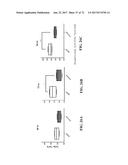 Peptide Inhibitors of BCR-ABL Oligomerization diagram and image
