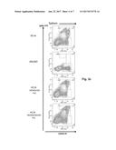 POLYNUCLEOTIDES ENCODING RODENT ANTIBODIES WITH HUMAN IDIOTYPES AND     ANIMALS COMPRISING SAME diagram and image