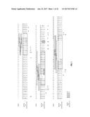 ANTI-HER2 ANTIBODIES AND IMMUNOCONJUGATES diagram and image