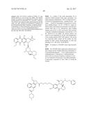 ANTI-HER2 ANTIBODIES AND IMMUNOCONJUGATES diagram and image