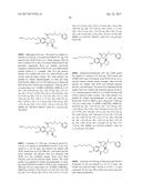 ANTI-HER2 ANTIBODIES AND IMMUNOCONJUGATES diagram and image