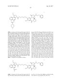 ANTI-HER2 ANTIBODIES AND IMMUNOCONJUGATES diagram and image