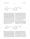 ANTI-HER2 ANTIBODIES AND IMMUNOCONJUGATES diagram and image