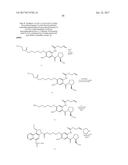 ANTI-HER2 ANTIBODIES AND IMMUNOCONJUGATES diagram and image