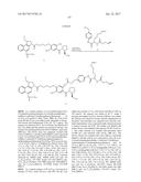 ANTI-HER2 ANTIBODIES AND IMMUNOCONJUGATES diagram and image