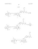 ANTI-HER2 ANTIBODIES AND IMMUNOCONJUGATES diagram and image