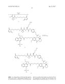 ANTI-HER2 ANTIBODIES AND IMMUNOCONJUGATES diagram and image