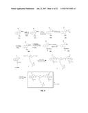 ANTI-HER2 ANTIBODIES AND IMMUNOCONJUGATES diagram and image