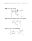 ANTI-HER2 ANTIBODIES AND IMMUNOCONJUGATES diagram and image