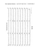 ANTI-HER2 ANTIBODIES AND IMMUNOCONJUGATES diagram and image