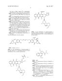 ANTI-HER2 ANTIBODIES AND IMMUNOCONJUGATES diagram and image