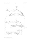 ANTI-HER2 ANTIBODIES AND IMMUNOCONJUGATES diagram and image