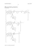 ANTI-HER2 ANTIBODIES AND IMMUNOCONJUGATES diagram and image