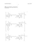 ANTI-HER2 ANTIBODIES AND IMMUNOCONJUGATES diagram and image