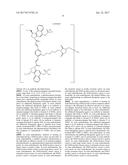 ANTI-HER2 ANTIBODIES AND IMMUNOCONJUGATES diagram and image