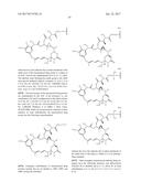 ANTI-HER2 ANTIBODIES AND IMMUNOCONJUGATES diagram and image