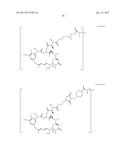 ANTI-HER2 ANTIBODIES AND IMMUNOCONJUGATES diagram and image