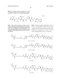 ANTI-HER2 ANTIBODIES AND IMMUNOCONJUGATES diagram and image