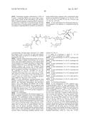 ANTI-HER2 ANTIBODIES AND IMMUNOCONJUGATES diagram and image