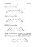 ANTI-HER2 ANTIBODIES AND IMMUNOCONJUGATES diagram and image