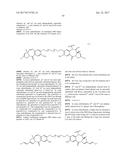 ANTI-HER2 ANTIBODIES AND IMMUNOCONJUGATES diagram and image