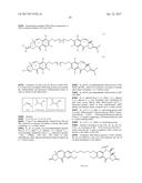 ANTI-HER2 ANTIBODIES AND IMMUNOCONJUGATES diagram and image