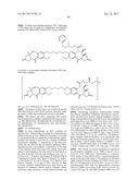 ANTI-HER2 ANTIBODIES AND IMMUNOCONJUGATES diagram and image