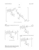 ANTI-HER2 ANTIBODIES AND IMMUNOCONJUGATES diagram and image