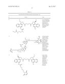 ANTI-HER2 ANTIBODIES AND IMMUNOCONJUGATES diagram and image