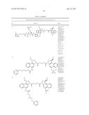 ANTI-HER2 ANTIBODIES AND IMMUNOCONJUGATES diagram and image