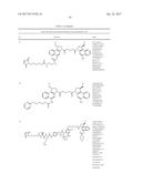 ANTI-HER2 ANTIBODIES AND IMMUNOCONJUGATES diagram and image