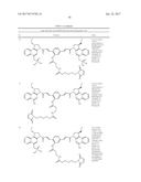 ANTI-HER2 ANTIBODIES AND IMMUNOCONJUGATES diagram and image