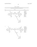 ANTI-HER2 ANTIBODIES AND IMMUNOCONJUGATES diagram and image