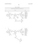 ANTI-HER2 ANTIBODIES AND IMMUNOCONJUGATES diagram and image