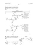 ANTI-HER2 ANTIBODIES AND IMMUNOCONJUGATES diagram and image