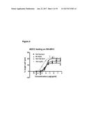 Single-Arm Monovalent Antibody Constructs and Uses Thereof diagram and image