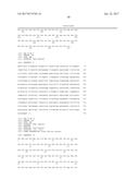 Single-Arm Monovalent Antibody Constructs and Uses Thereof diagram and image