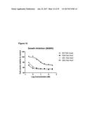 Single-Arm Monovalent Antibody Constructs and Uses Thereof diagram and image