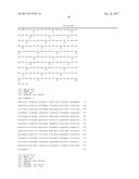 Single-Arm Monovalent Antibody Constructs and Uses Thereof diagram and image