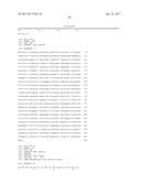 Single-Arm Monovalent Antibody Constructs and Uses Thereof diagram and image