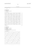 Single-Arm Monovalent Antibody Constructs and Uses Thereof diagram and image