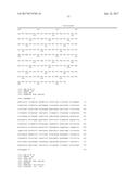 Single-Arm Monovalent Antibody Constructs and Uses Thereof diagram and image