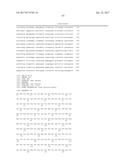 Single-Arm Monovalent Antibody Constructs and Uses Thereof diagram and image